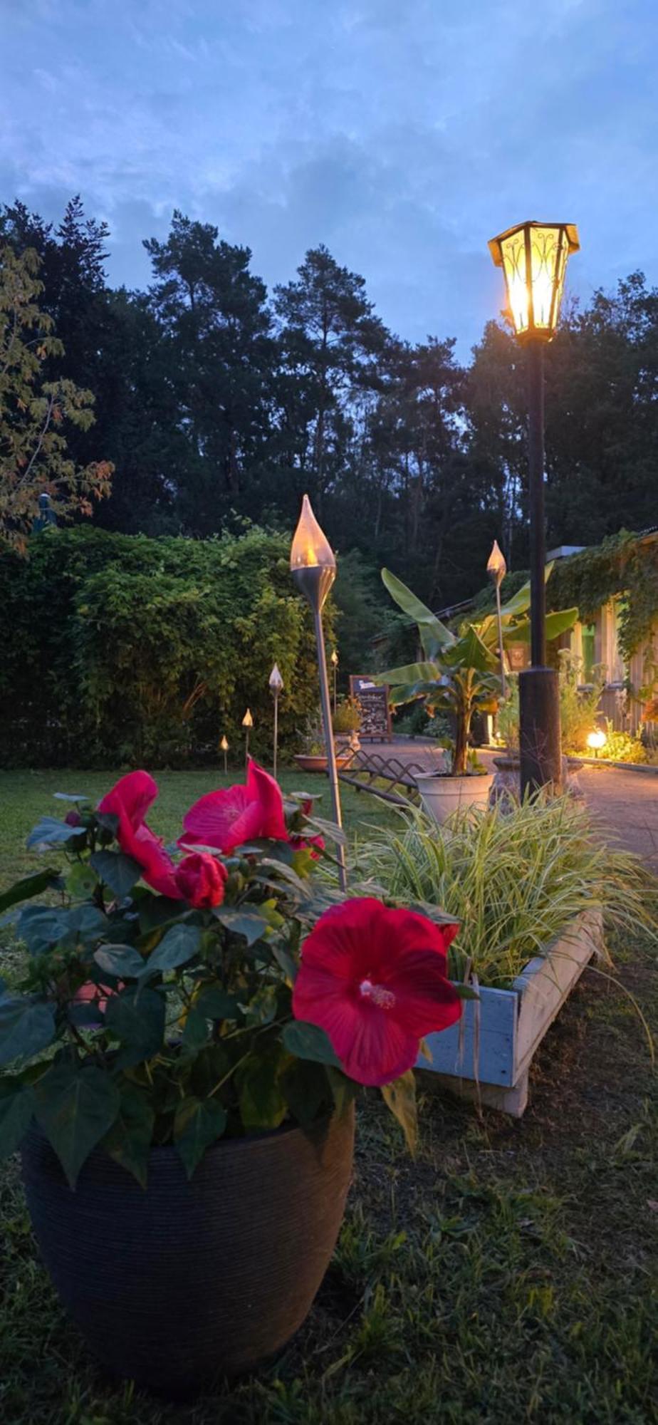 Waldpension Gussow Heidesee 외부 사진